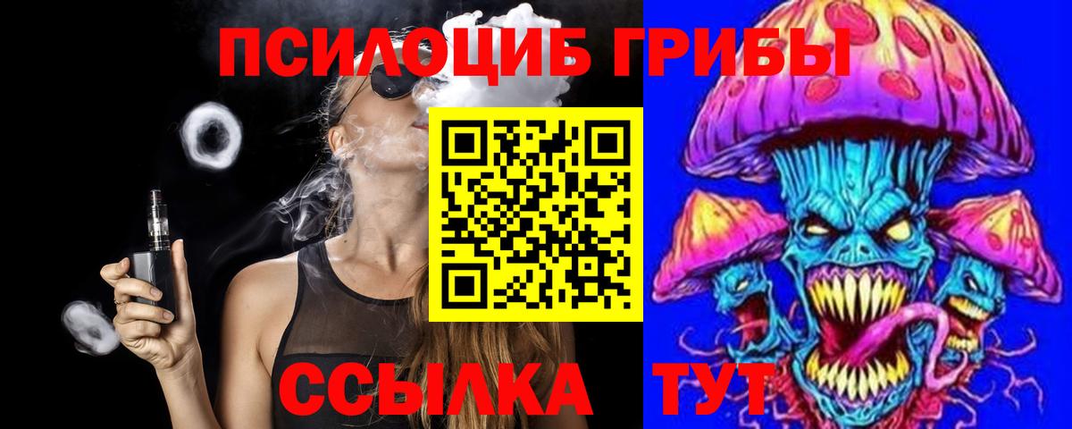 где купить наркоту  Псилоцибиновые грибы Magic Shrooms  Краснознаменск  Вход с VPN  Псилоцибиновые грибы Cubensis 