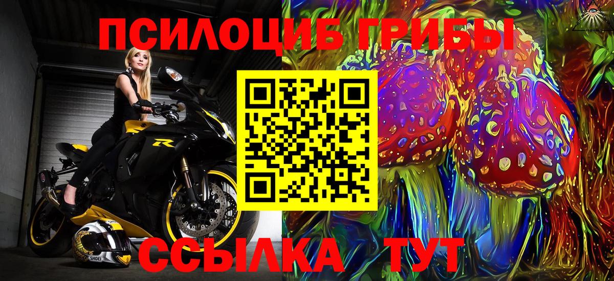 Псилоцибиновые грибы мухоморы Краснознаменск