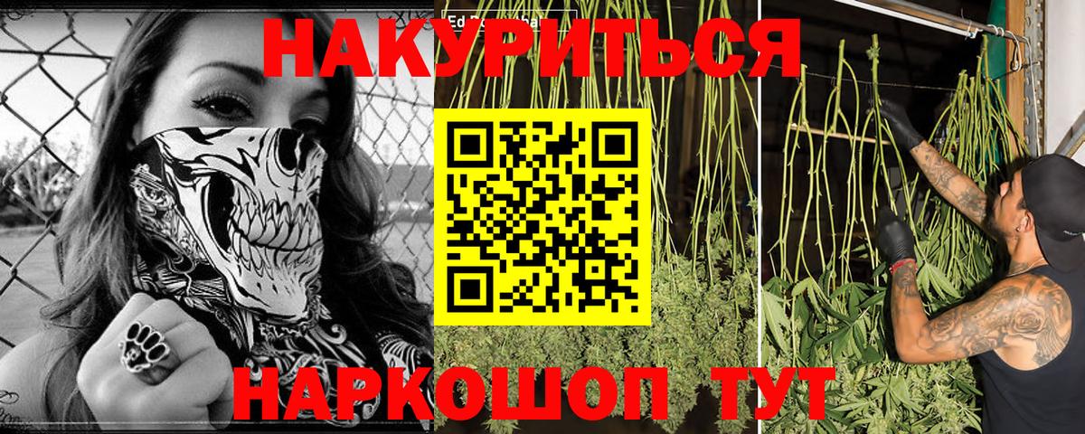 Шишки марихуана SATIVA & INDICA Краснознаменск