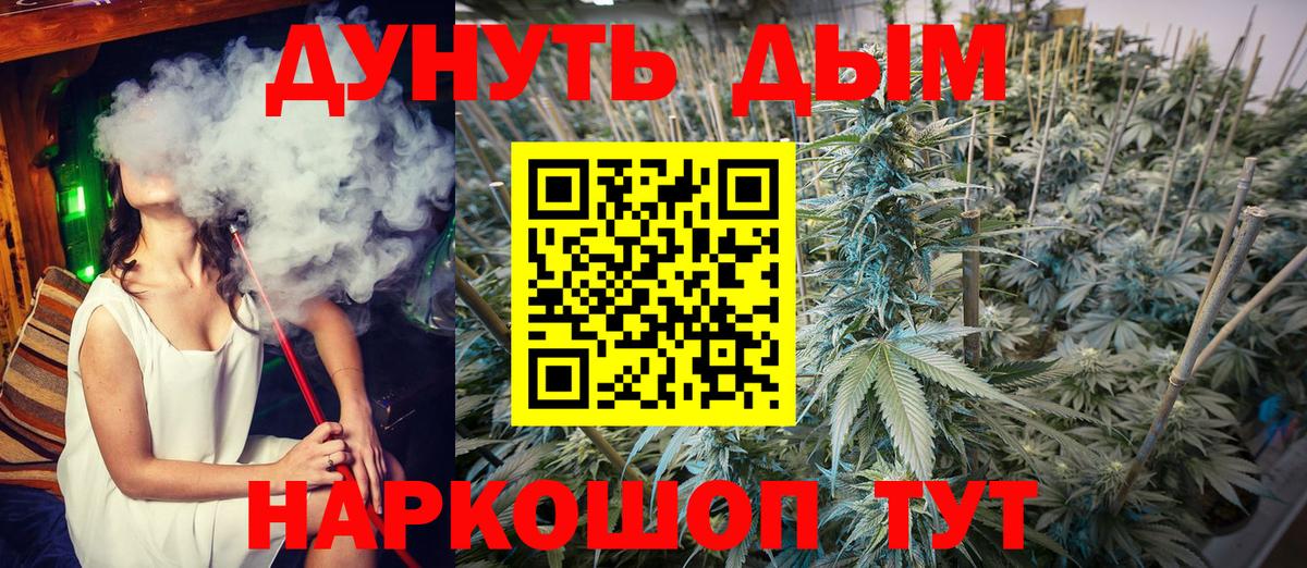 Шишки марихуана семена  Бошки Шишки сатива  Краснознаменск  Конопля Bruce Banner  Вход с VPN 